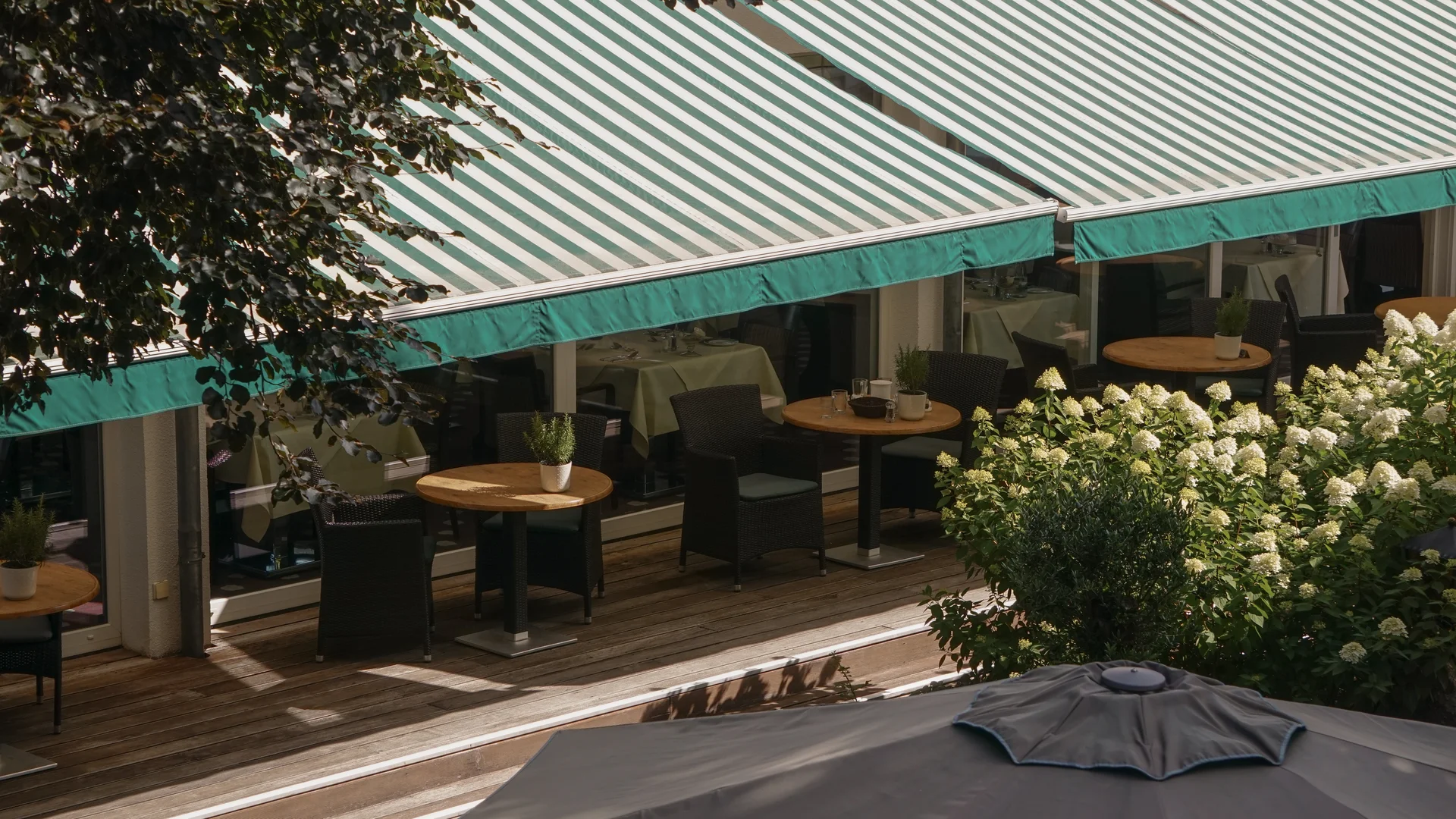Bildergalerie – Parkhotel Flora Schluchsee