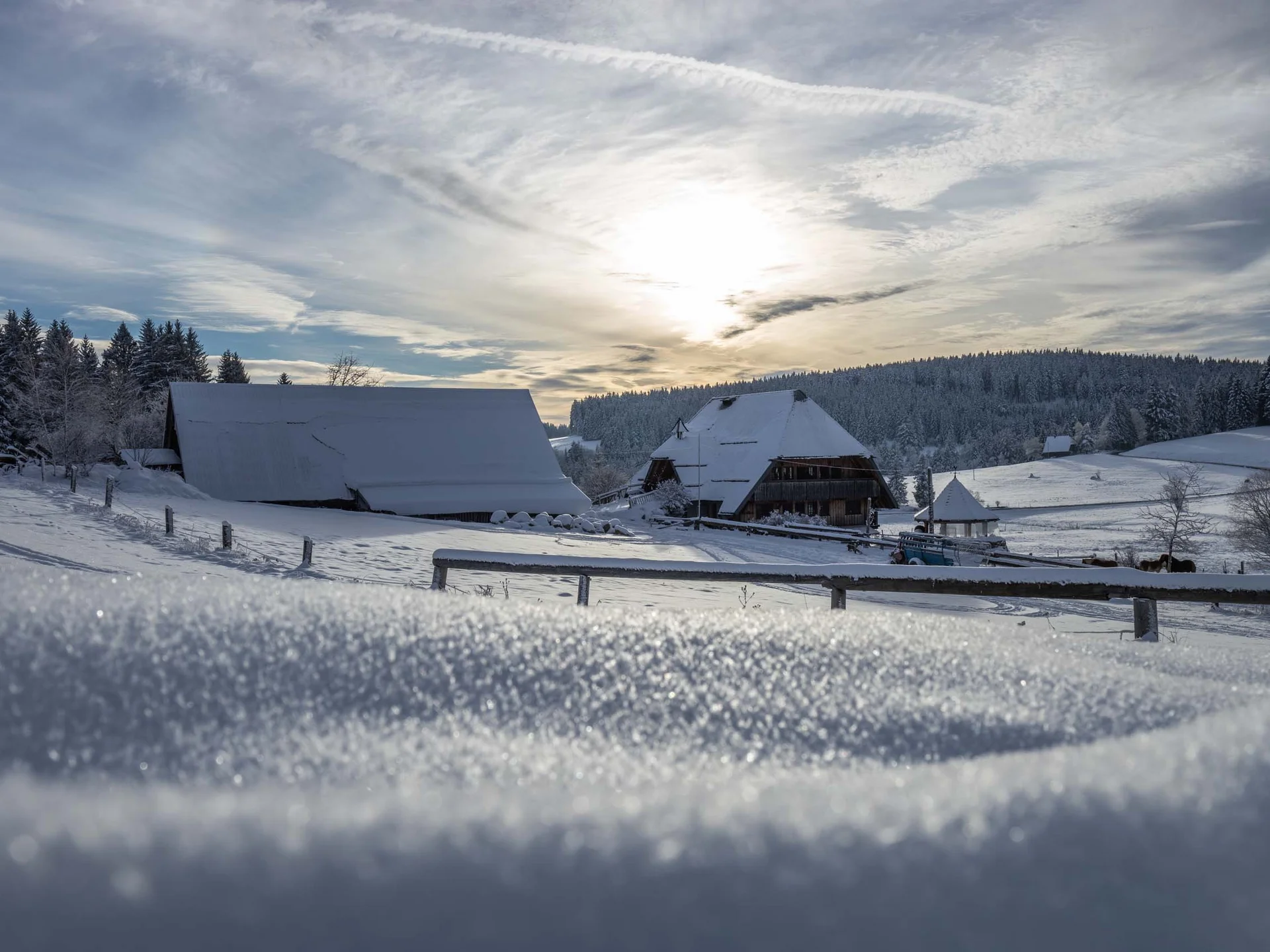 Urlaub am Schluchsee im Hochschwarzwald – Natur & Erholung genießen im Parkhotel Flora Schluchsee