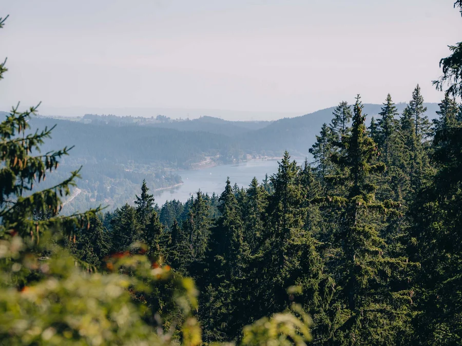 Sehenswürdigkeiten & Entfernungen rund um das Parkhotel Flora am Schluchsee
