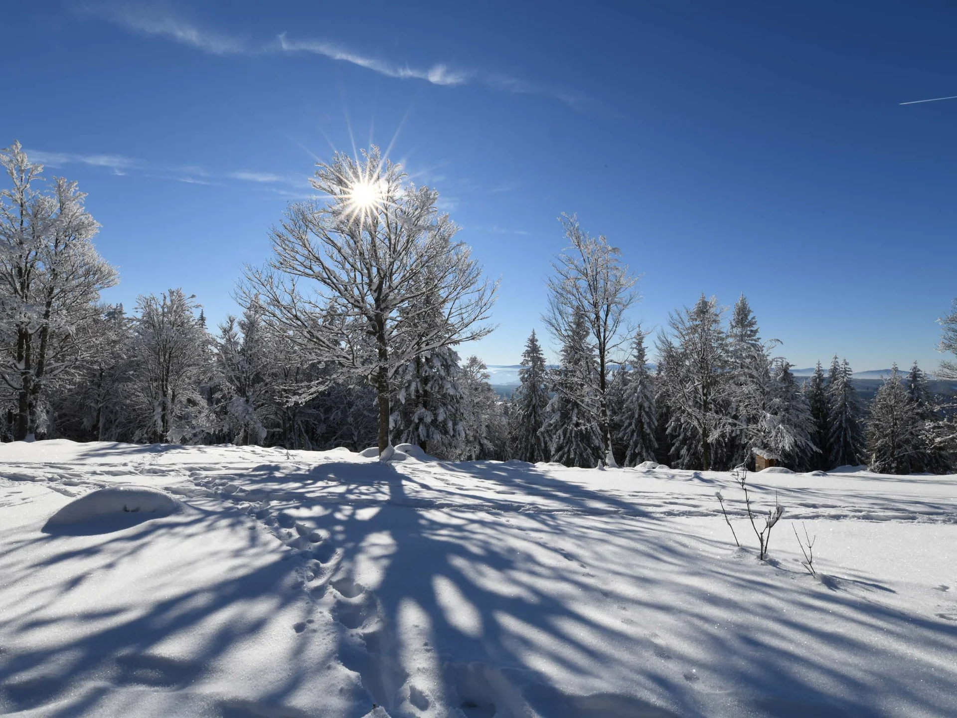 Urlaub am Schluchsee im Hochschwarzwald – Natur & Erholung genießen im Parkhotel Flora Schluchsee
