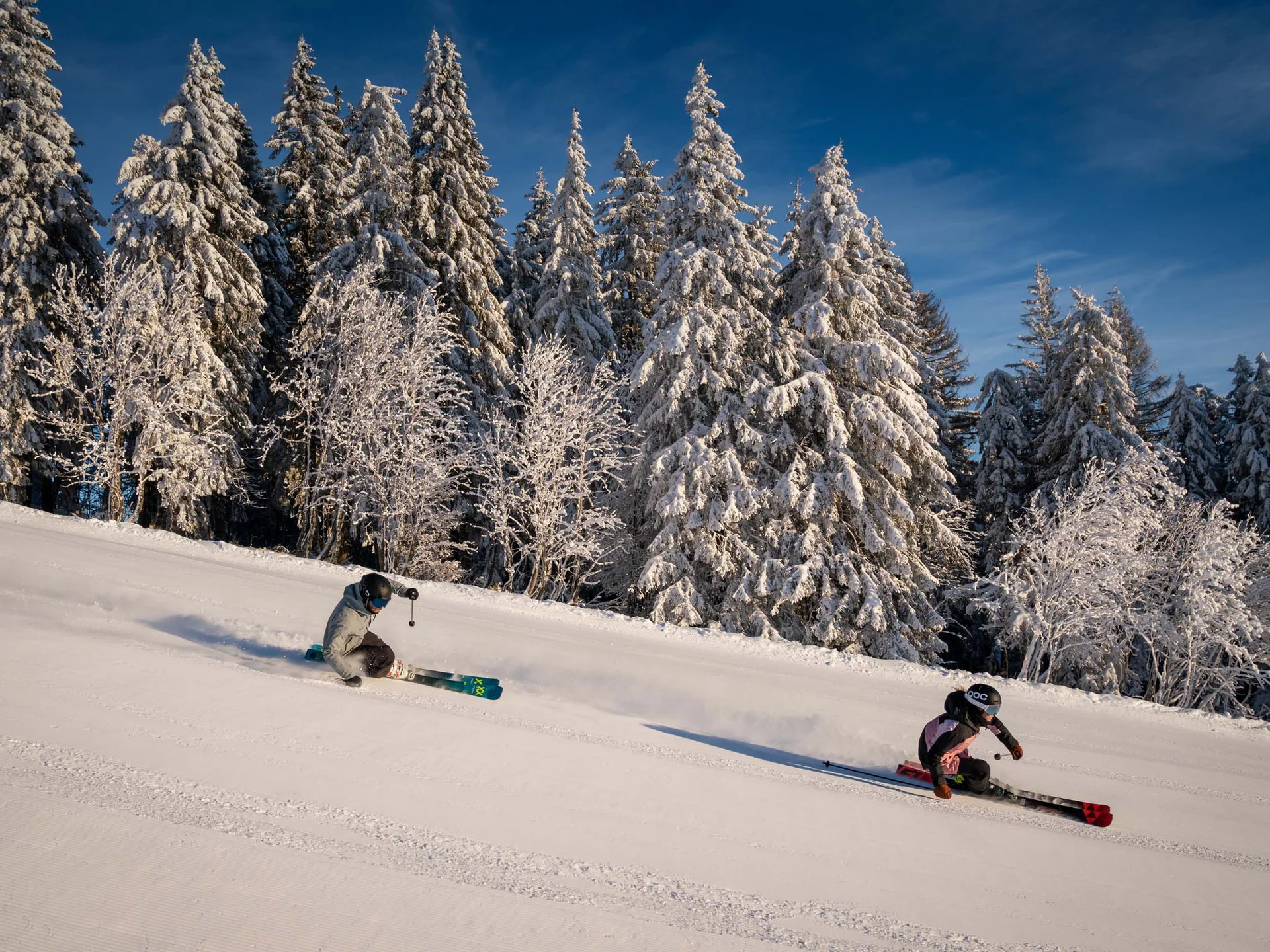 Urlaub am Schluchsee im Hochschwarzwald – Natur & Erholung genießen im Parkhotel Flora Schluchsee
