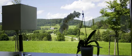 Zimmer und Suiten in unserer Hotelunterkunft – Parkhotel Flora Schluchsee