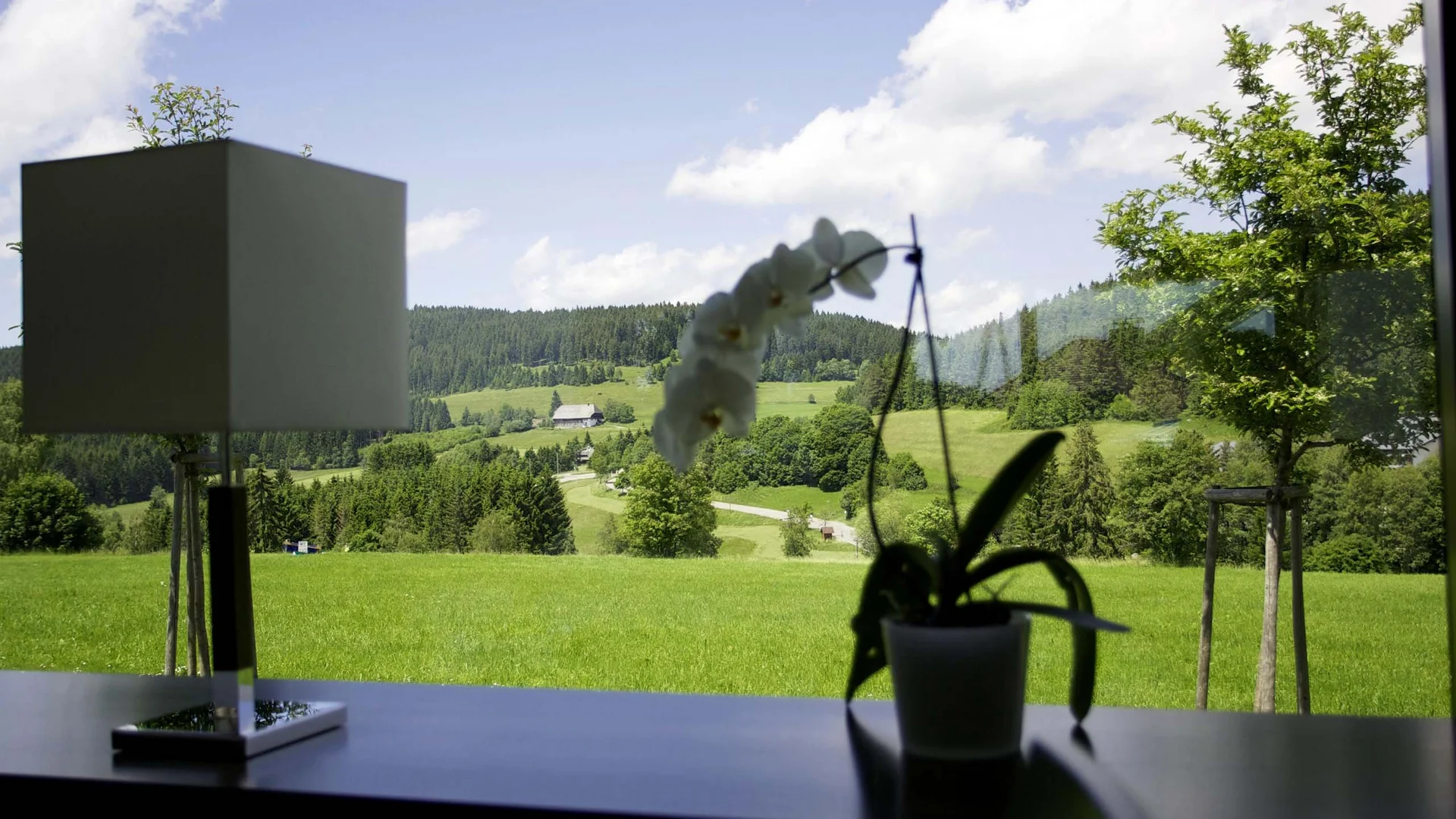Bildergalerie – Parkhotel Flora Schluchsee