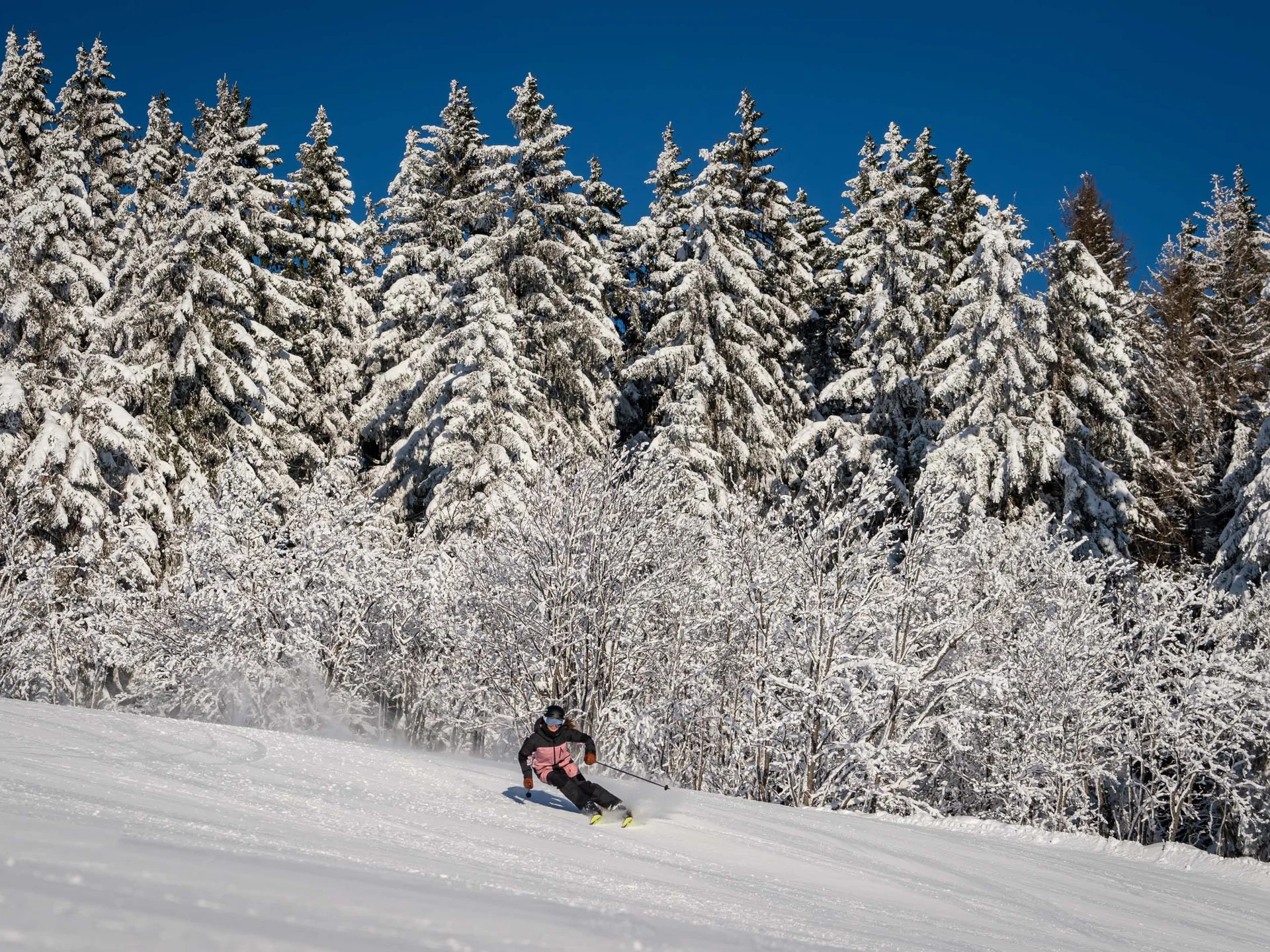 Urlaub am Schluchsee im Hochschwarzwald – Natur & Erholung genießen im Parkhotel Flora Schluchsee