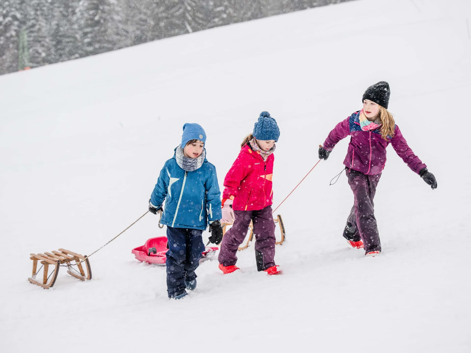 Urlaub am Schluchsee im Hochschwarzwald – Natur & Erholung genießen im Parkhotel Flora Schluchsee