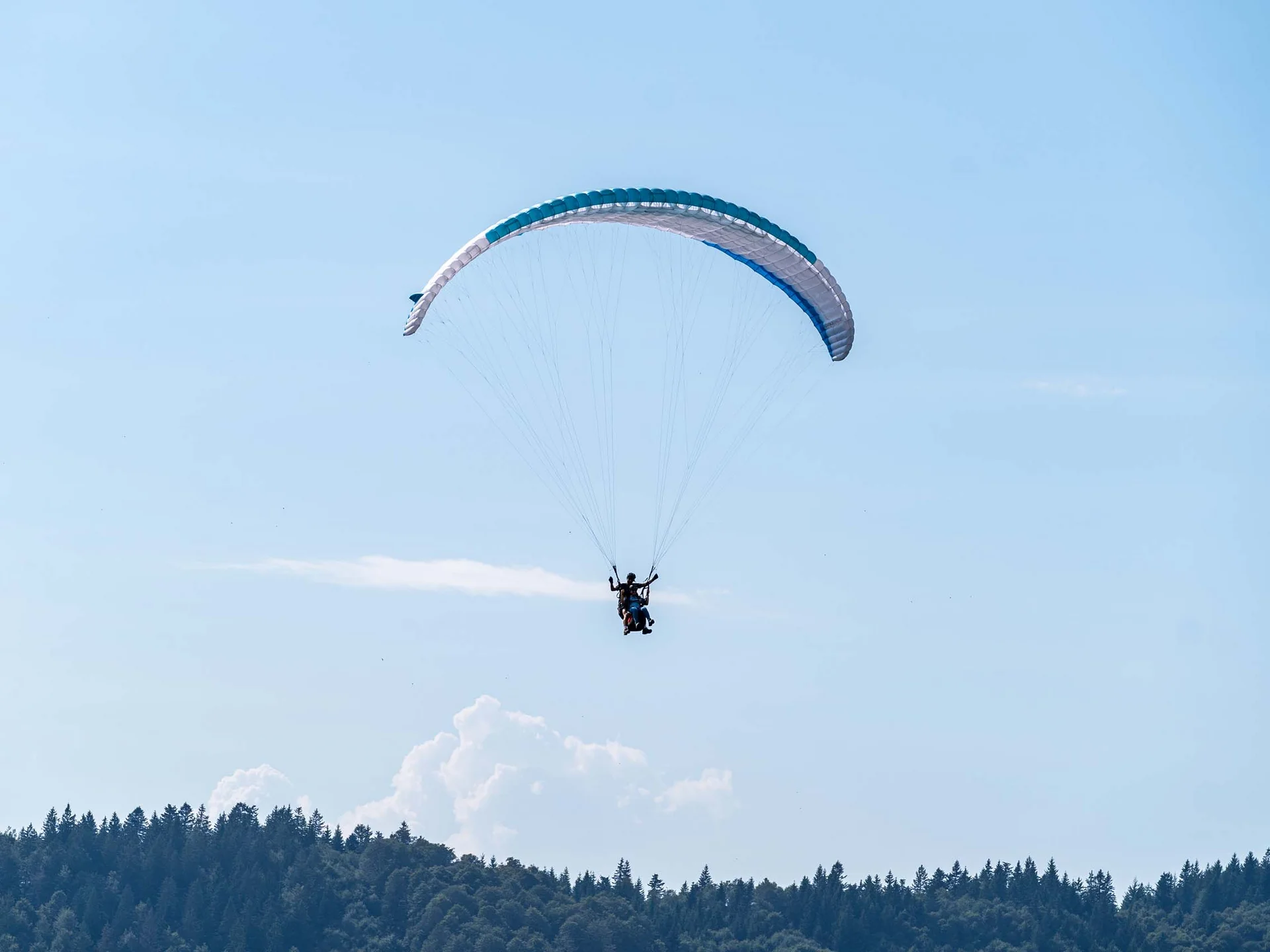Urlaub am Schluchsee im Hochschwarzwald – Natur & Erholung genießen im Parkhotel Flora Schluchsee