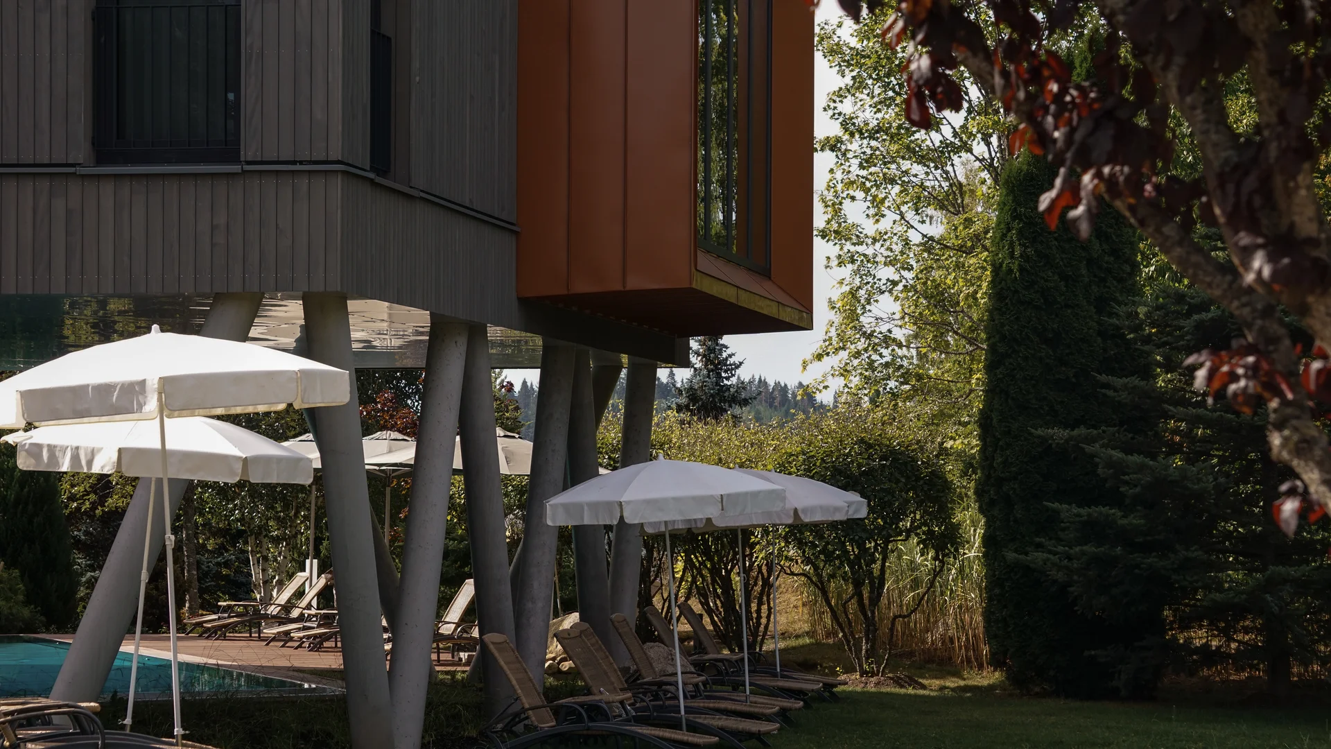 Bildergalerie – Parkhotel Flora Schluchsee