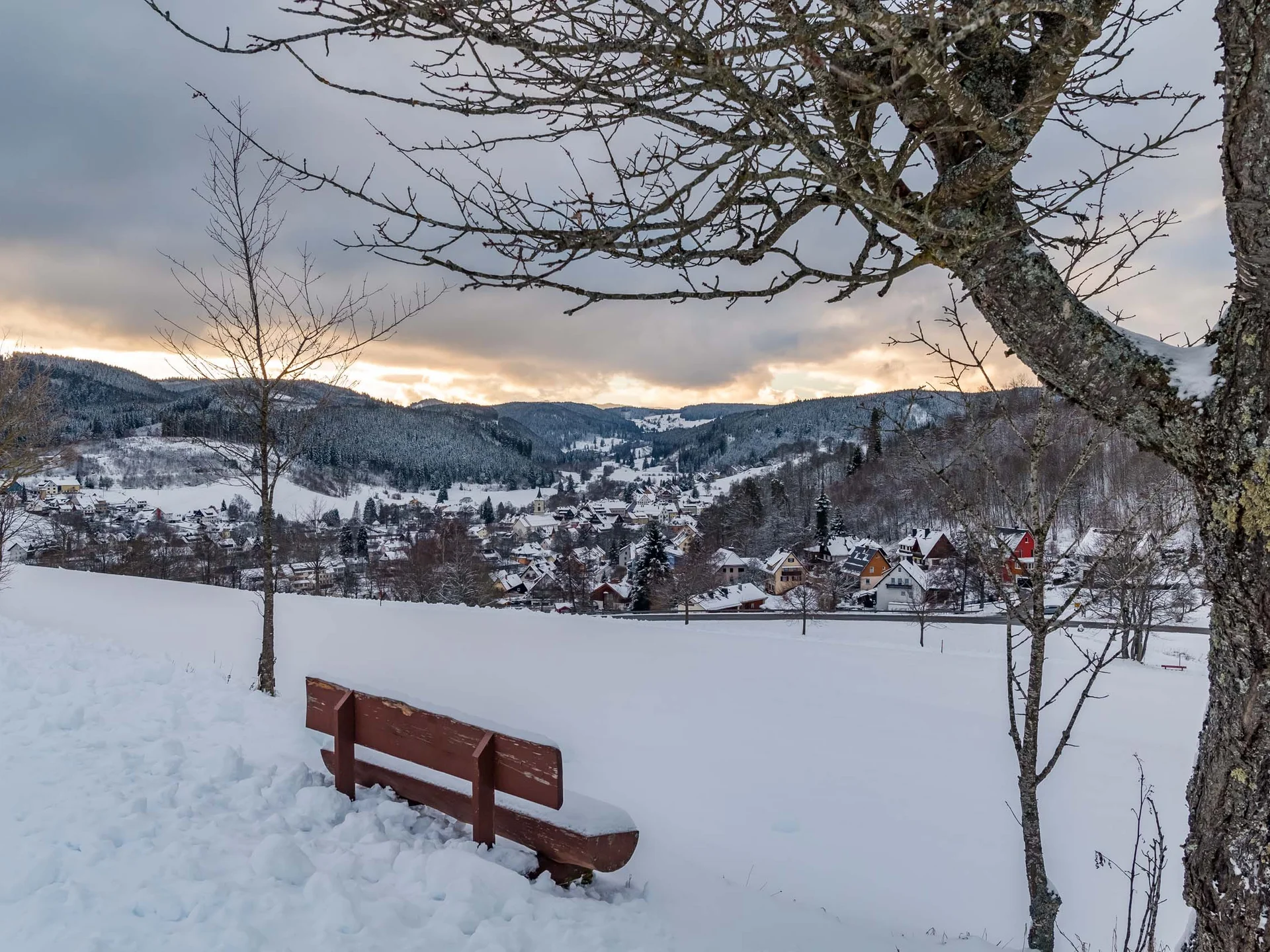 Urlaub am Schluchsee im Hochschwarzwald – Natur & Erholung genießen im Parkhotel Flora Schluchsee
