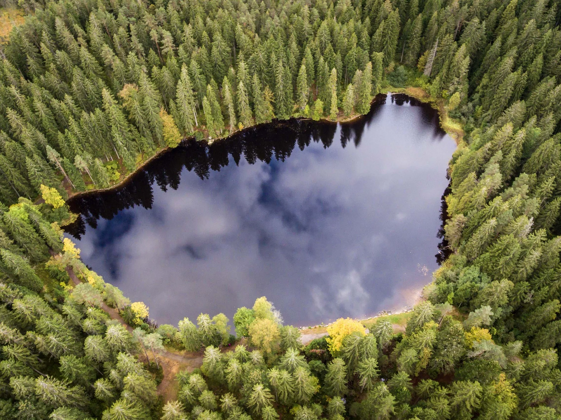 Sehenswürdigkeiten & Entfernungen rund um das Parkhotel Flora am Schluchsee