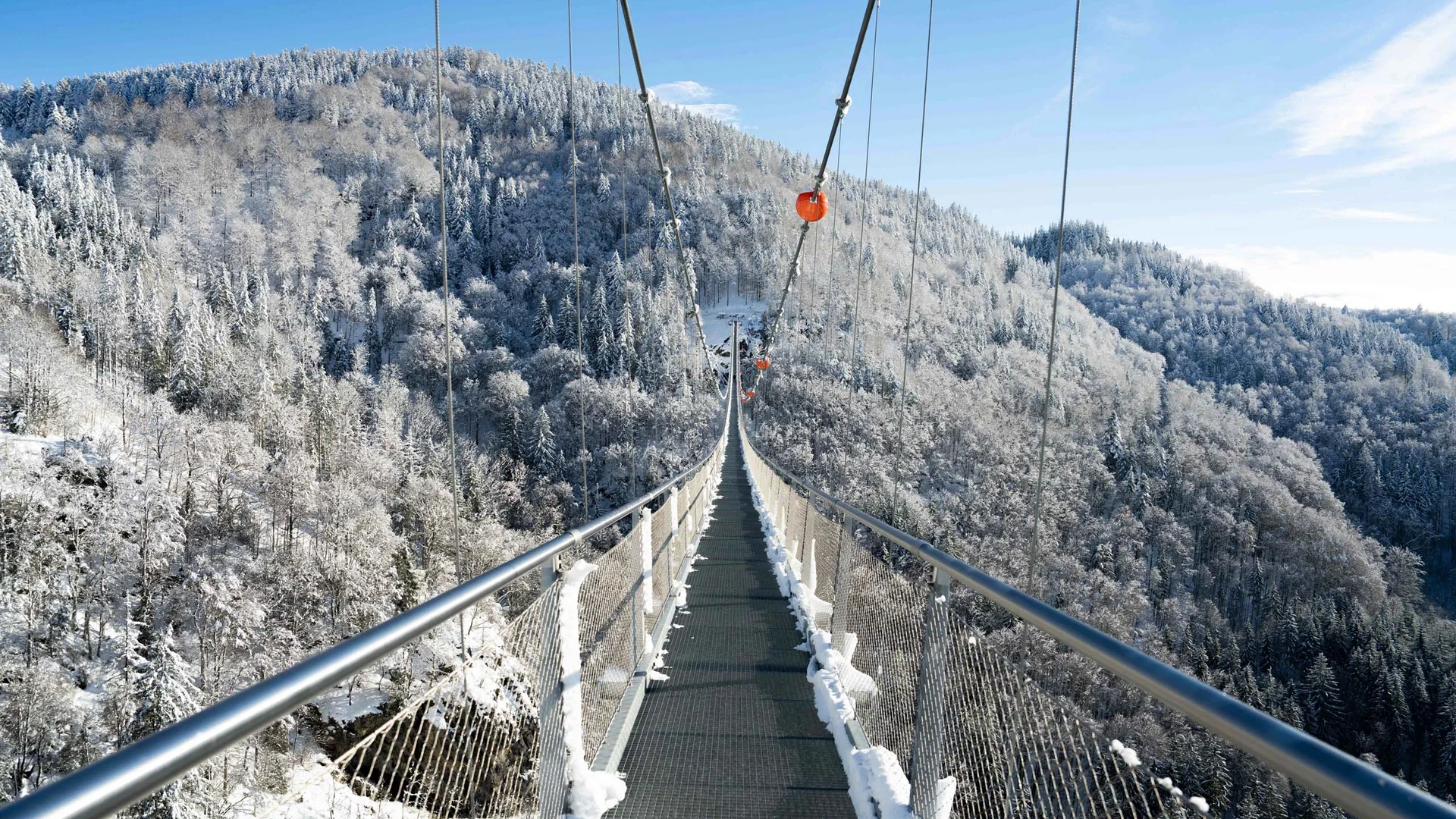 Urlaub am Schluchsee im Hochschwarzwald – Natur & Erholung genießen im Parkhotel Flora Schluchsee