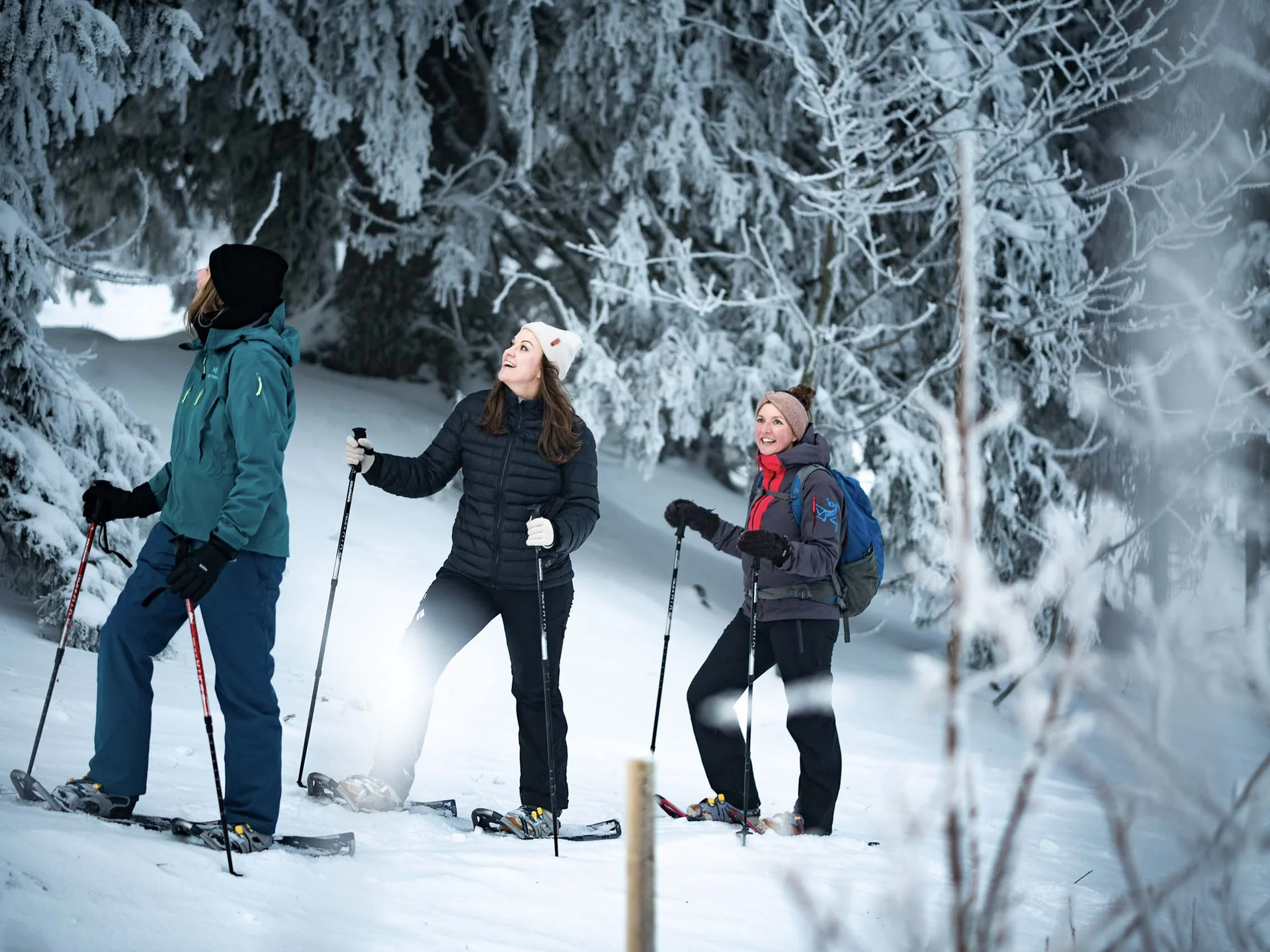 Urlaub am Schluchsee im Hochschwarzwald – Natur & Erholung genießen im Parkhotel Flora Schluchsee