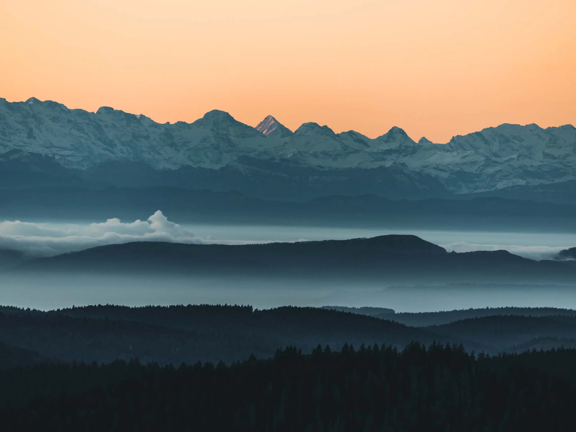 Urlaub am Schluchsee im Hochschwarzwald – Natur & Erholung genießen im Parkhotel Flora Schluchsee