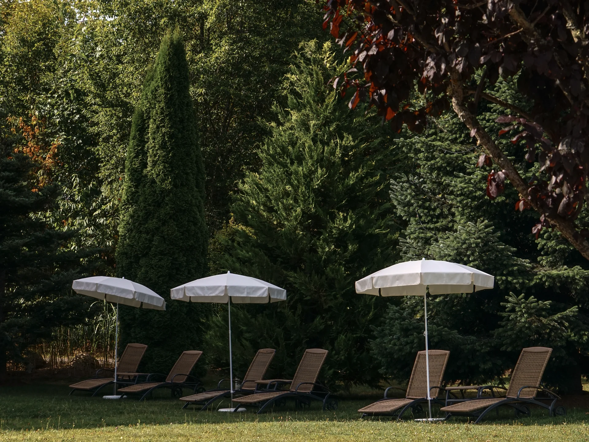 Wellnesshotel mit Pool & Sauna im Schwarzwald – Parkhotel Flora Schluchsee Wellnesshotel mit Pool & Sauna im Schwarzwald – Parkhotel Flora Schluchsee
