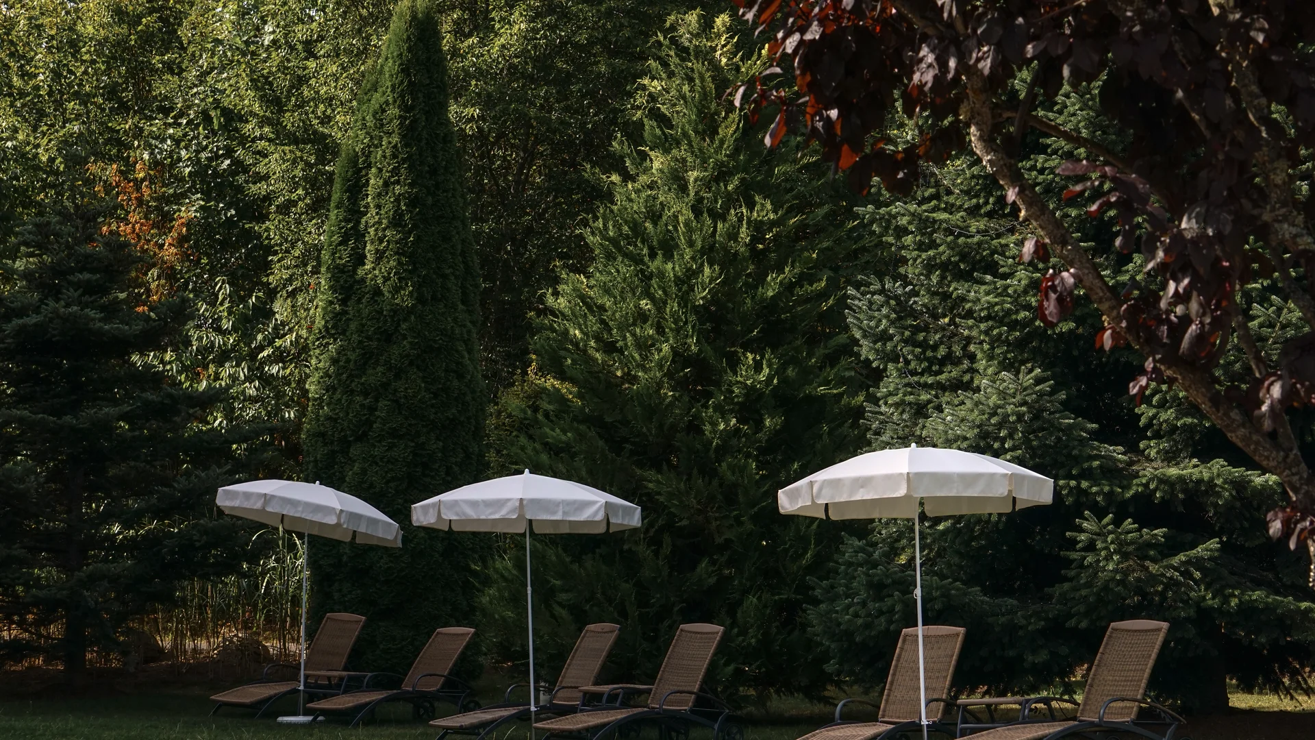 Bildergalerie – Parkhotel Flora Schluchsee