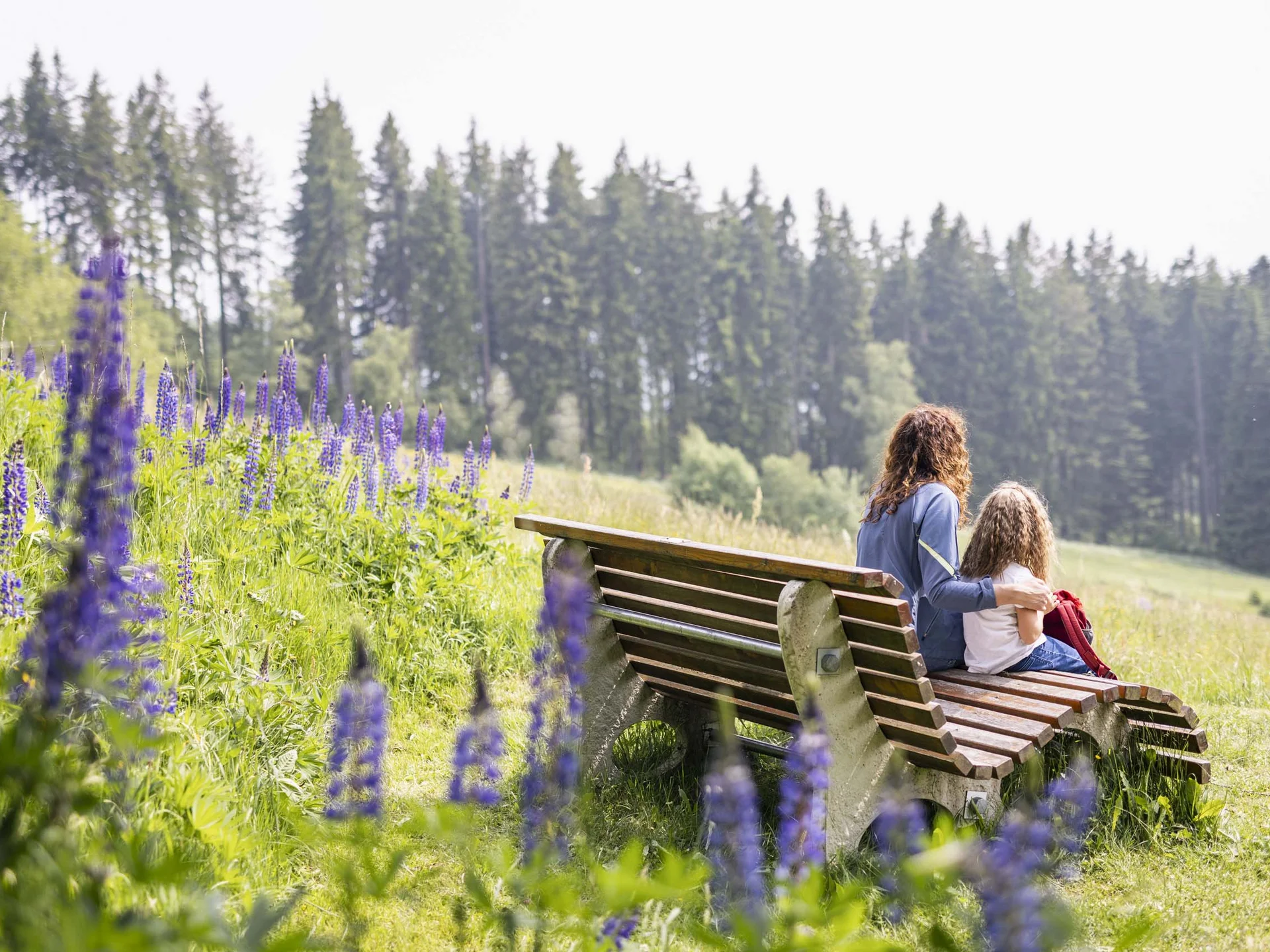 Sehenswürdigkeiten & Entfernungen rund um das Parkhotel Flora am Schluchsee
