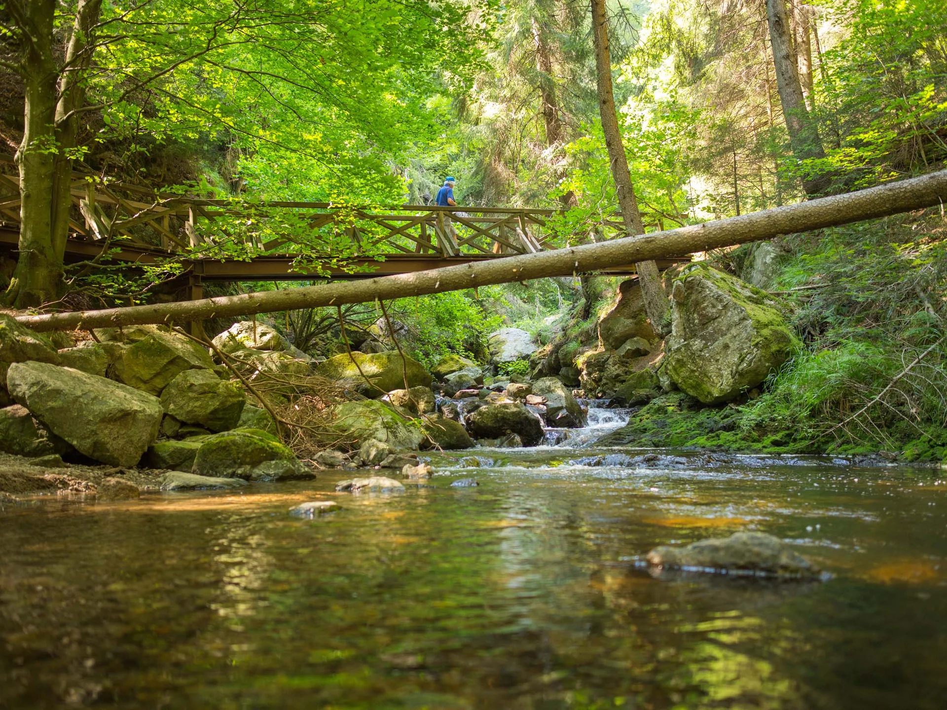 Urlaub am Schluchsee im Hochschwarzwald – Natur & Erholung genießen im Parkhotel Flora Schluchsee