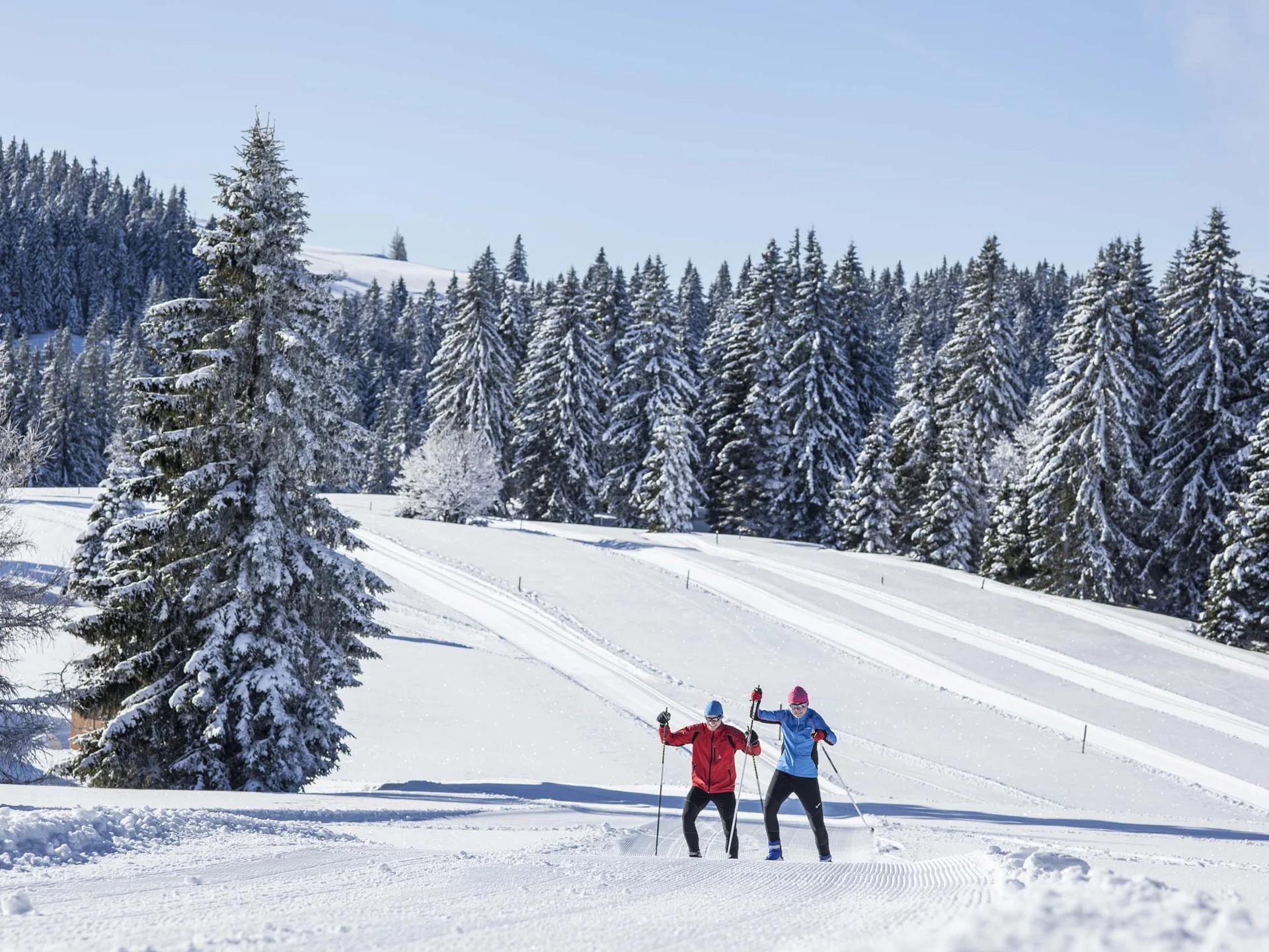 Urlaub am Schluchsee im Hochschwarzwald – Natur & Erholung genießen im Parkhotel Flora Schluchsee