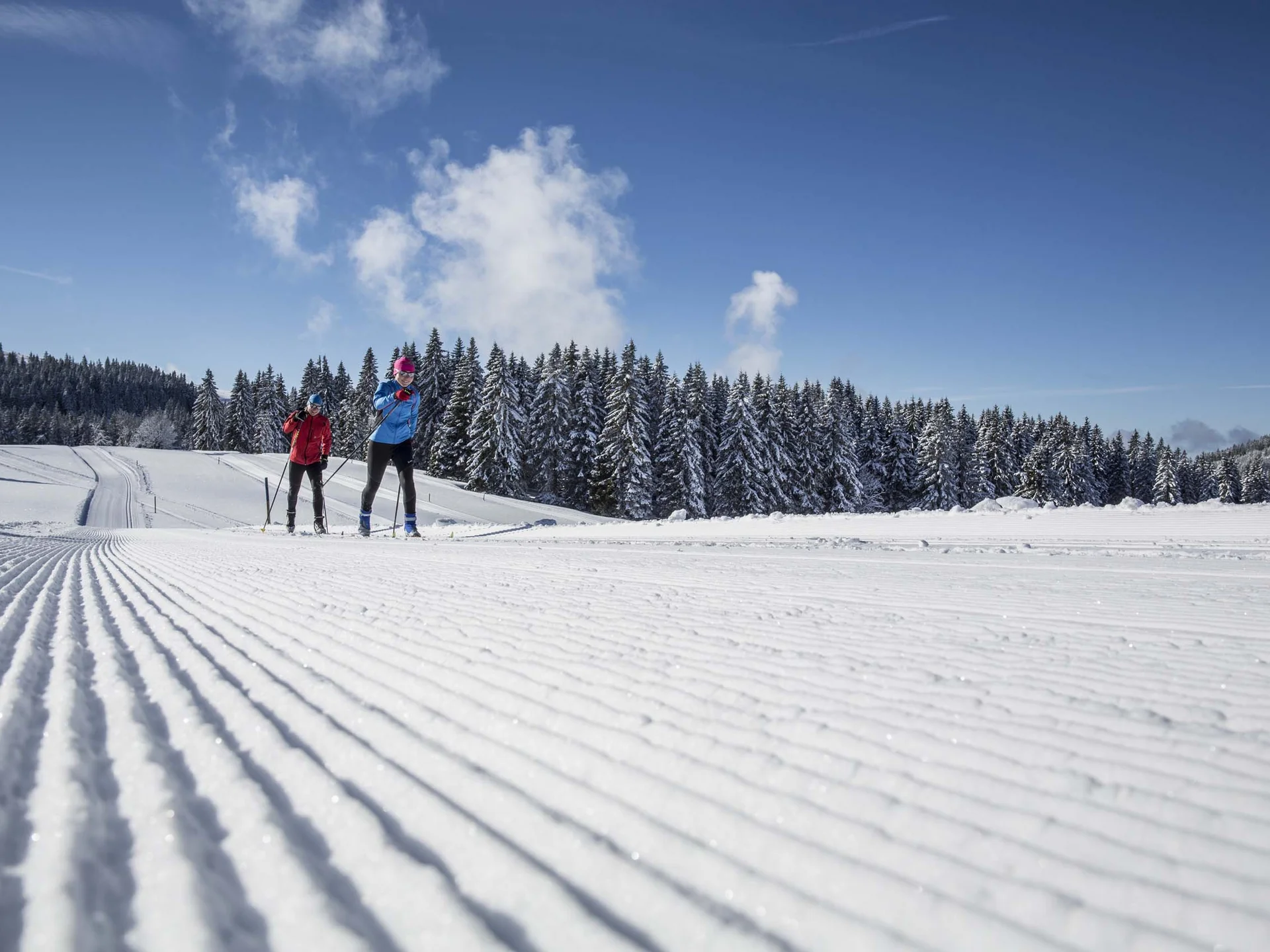 Urlaub am Schluchsee im Hochschwarzwald – Natur & Erholung genießen im Parkhotel Flora Schluchsee