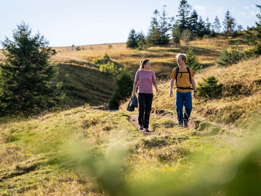 Sehenswürdigkeiten & Entfernungen rund um das Parkhotel Flora am Schluchsee